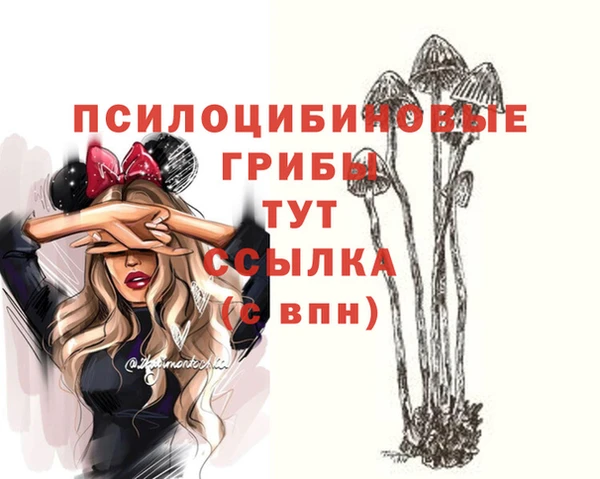 прущие крисы Верхний Тагил