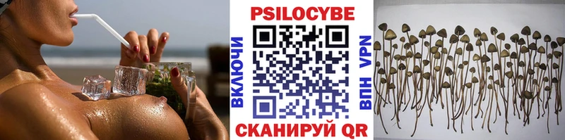 гидра tor  Пересвет  Галлюциногенные грибы Cubensis 